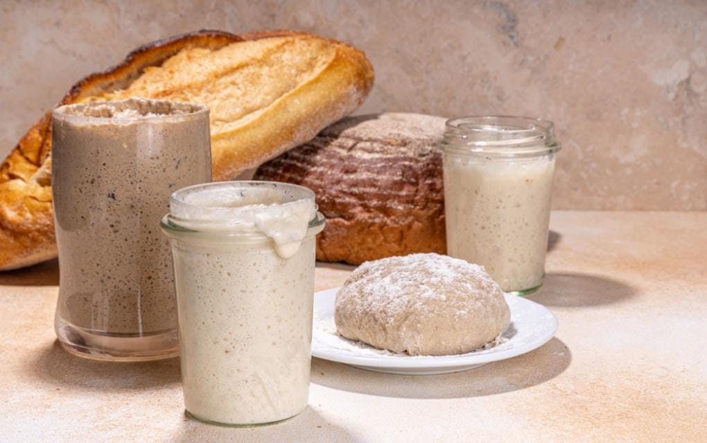 Fermento Químico e Biológico: Quais as diferenças e como usar?